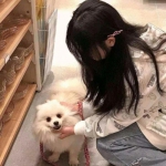 名将曲变态版手游下载